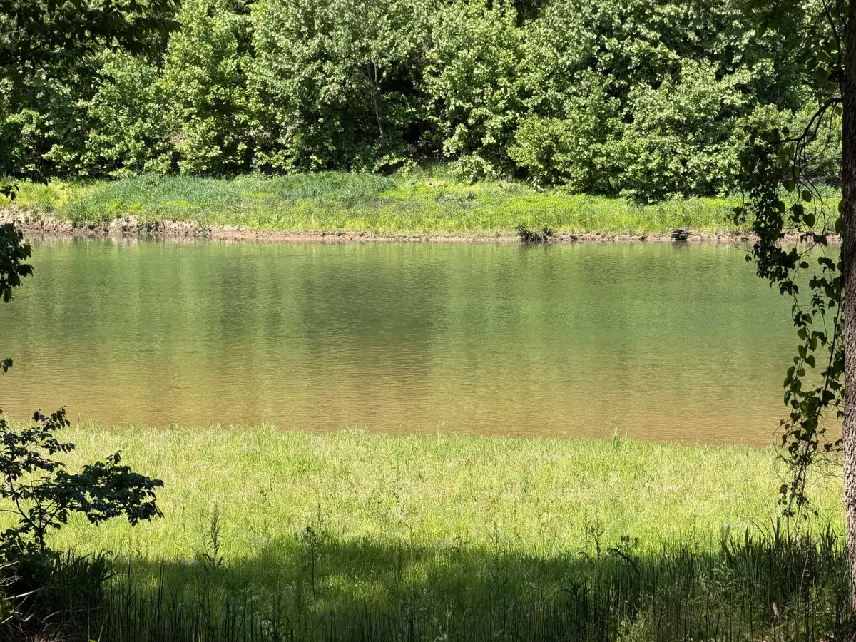 000 County Road 318 #Lot 7, Tecumseh, MO 65760 - #1