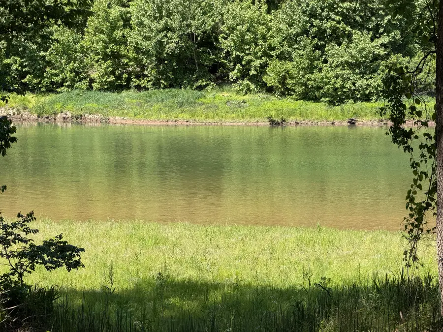 000 County Road 318 #Lot 8, Tecumseh, MO 65760 - #3