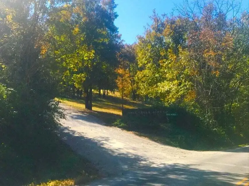 Tbd Ance Acres Lane #15 & 16, Reeds Spring, MO 65737 - #3