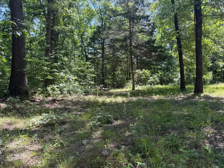640 N Emory Creek Road, Walnut Shade, MO 65771 - #2