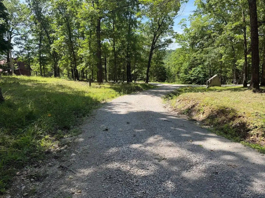 640 N Emory Creek Road, Walnut Shade, MO 65771 - #3