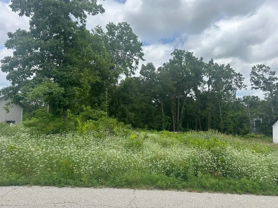 Lot 17 Creswell Avenue, Joplin, MO 64801 - #2