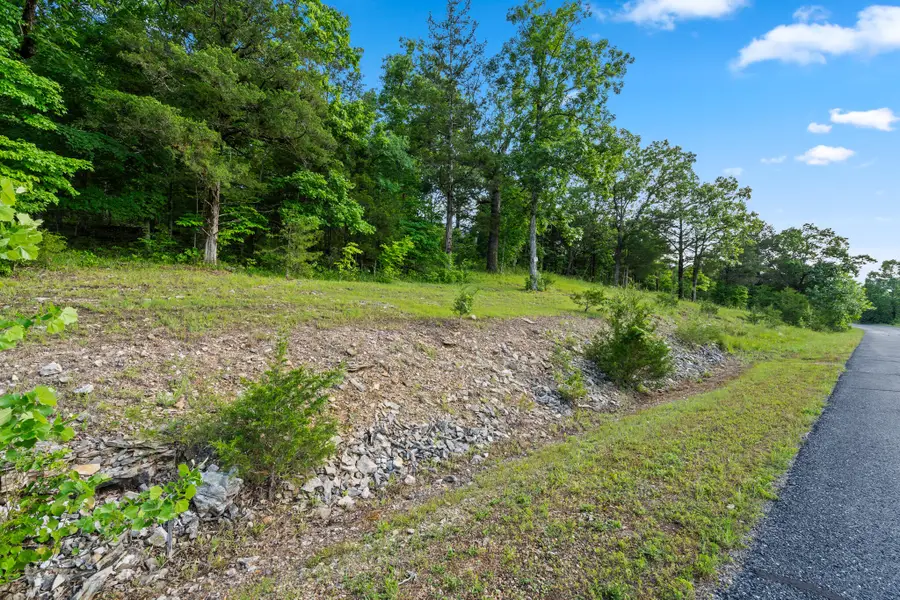 Tbd Cedar Bluff Lot 91a, Saddlebrooke, MO 65630 - #3