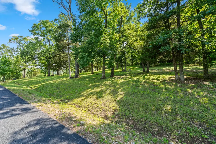 Tbd Cedar Bluff Lot 94, Saddlebrooke, MO 65630 - #3