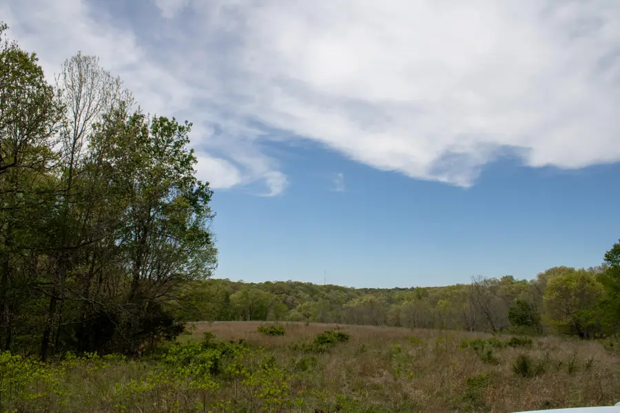 370 Hayes Spring Drive, Crane, MO 65633 - #2