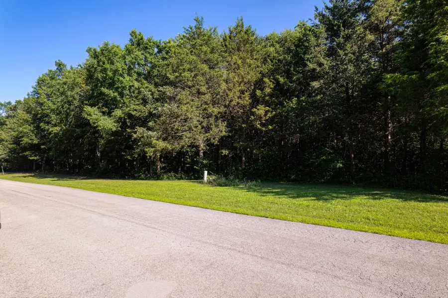 000 Green Cypress/ Eagle Pt Lt 88 Lane, Shell Knob, MO 65747 - #3