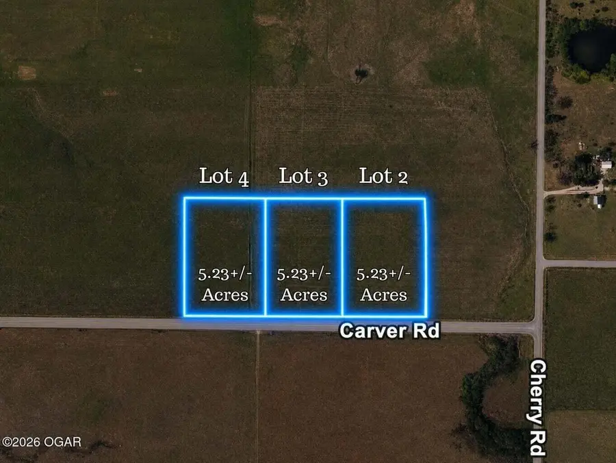 Lot 3 Carver Road, Diamond, MO 64840 - #2