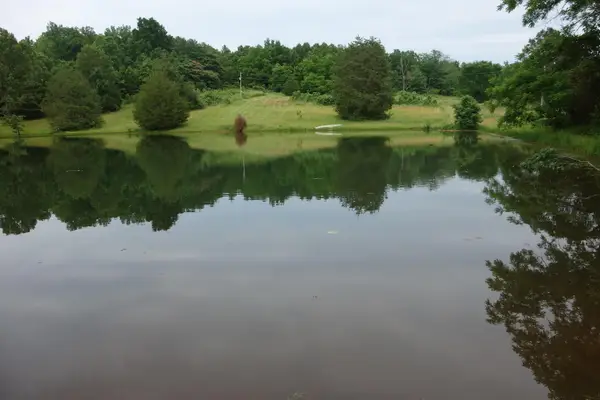 000 County Road 522, Winona, MO 65588