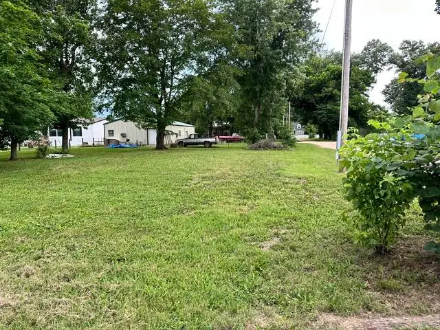 207 Walnut Street, Birch Tree, MO 65438 - #1