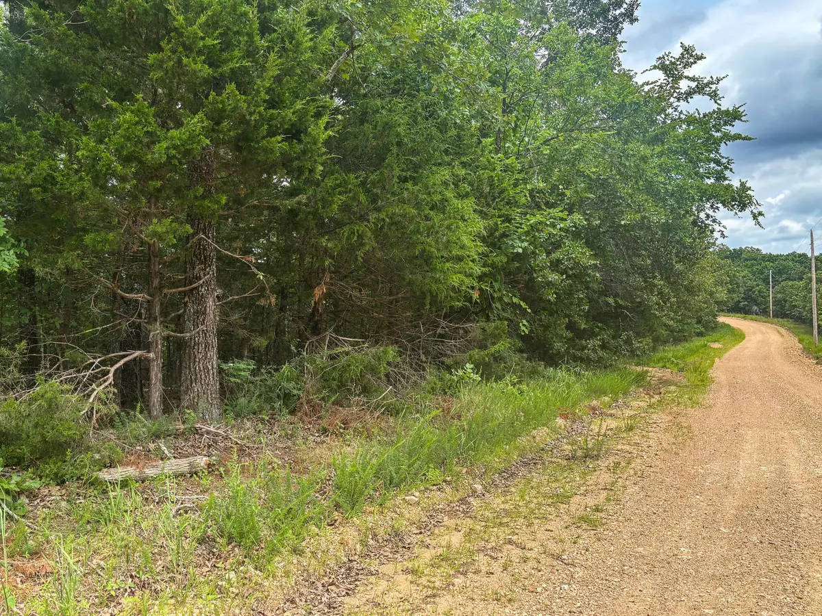 000 County Road 815, Gainesville, MO 65655 - #1