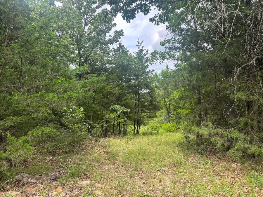 000 County Road 815, Gainesville, MO 65655 - #2