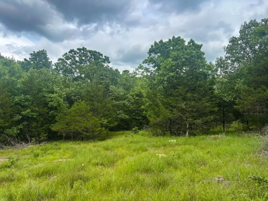 000 County Road 815, Gainesville, MO 65655 - #3