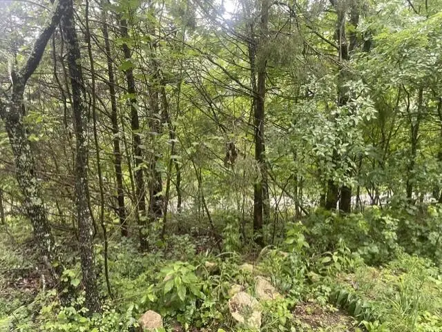 000 Sun Perch Lane, Kimberling City, MO 65686 - #2