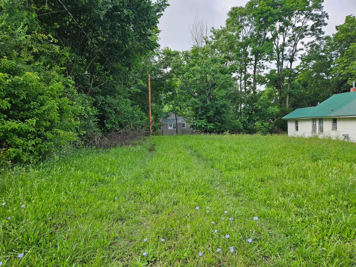 401 E Webster Avenue, Ava, MO 65608 - #1