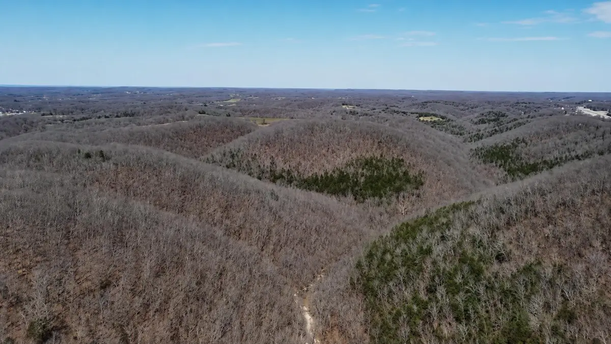 000 Burk Road, Highlandville, MO 65669 - #1