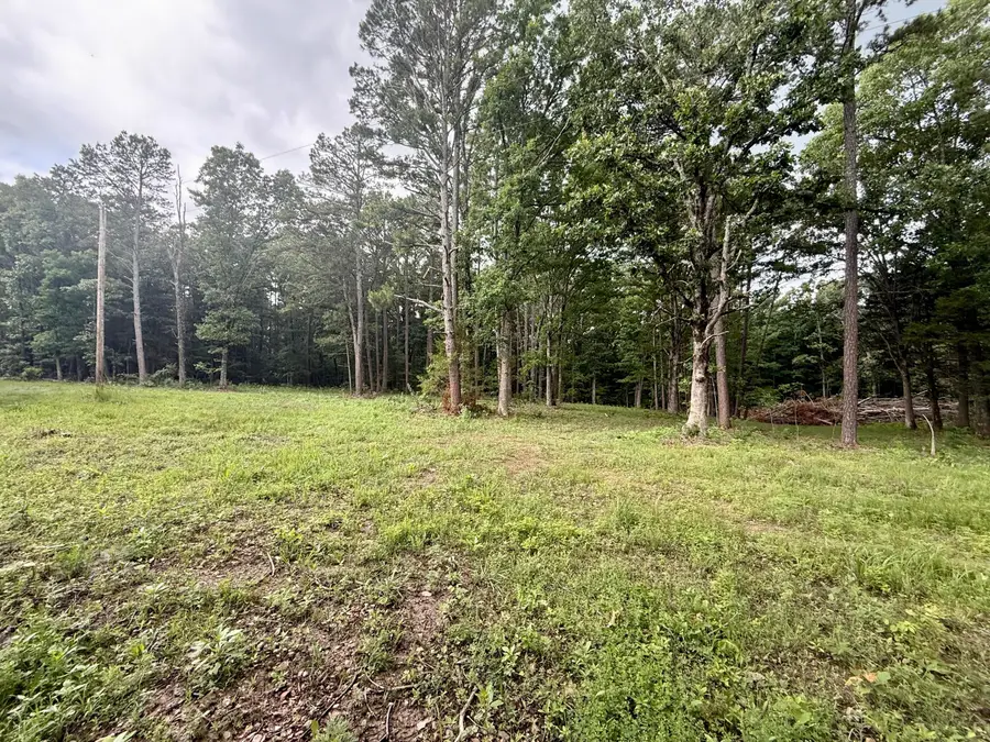 000 W Highway 32, Licking, MO 65542 - #2