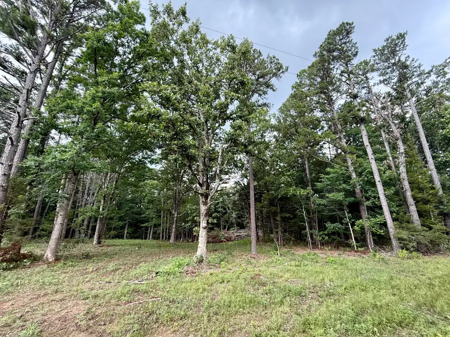000 W Highway 32, Licking, MO 65542 - #3