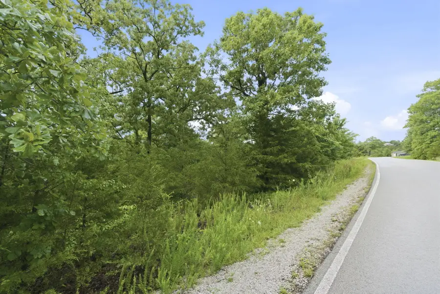 Lot 139 Beechwood Drive, Branson West, MO 65737 - #2