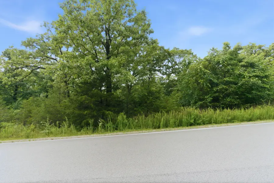 Lot 139 Beechwood Drive, Branson West, MO 65737 - #3