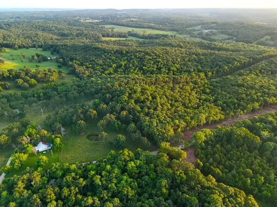 006 Cantrell Road, Mansfield, MO 65704 - #2