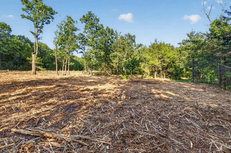 005 Cantrell Road, Mansfield, MO 65704 - #2