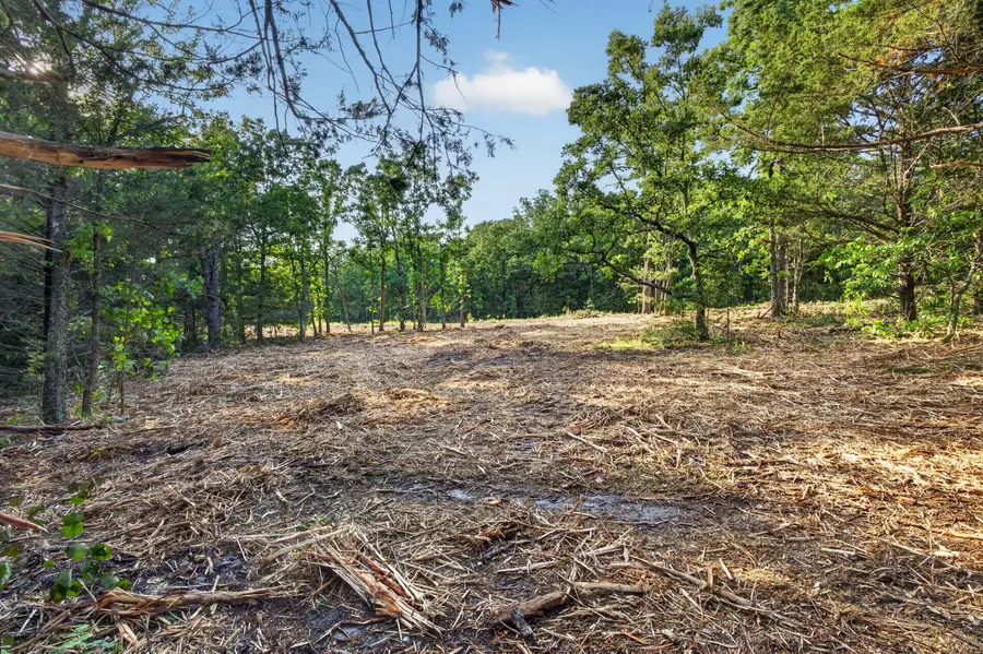 005 Cantrell Road, Mansfield, MO 65704 - #3
