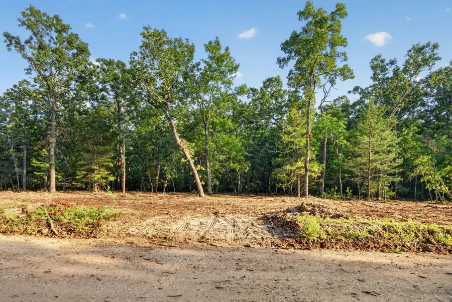004 Cantrell Road, Mansfield, MO 65704 - #3