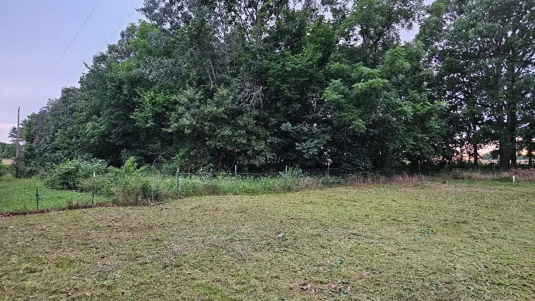 630 Cross Creek Road, Marshfield, MO 65706 - #1