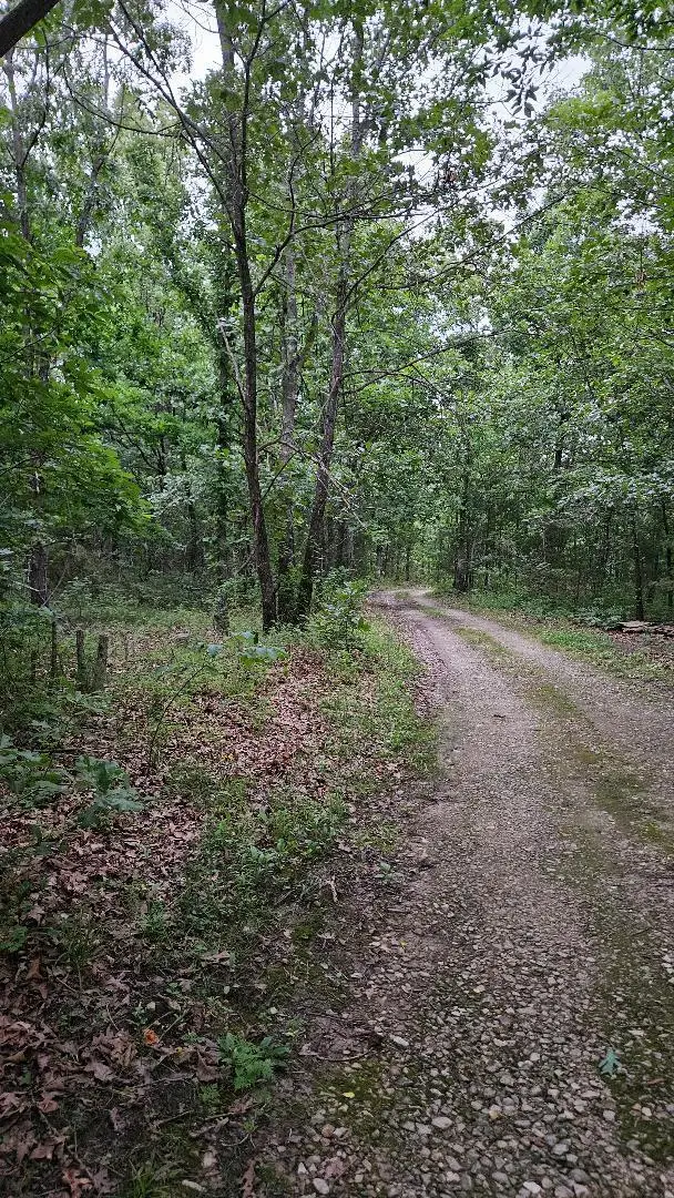 630 Cross Creek Road, Marshfield, MO 65706 - #3