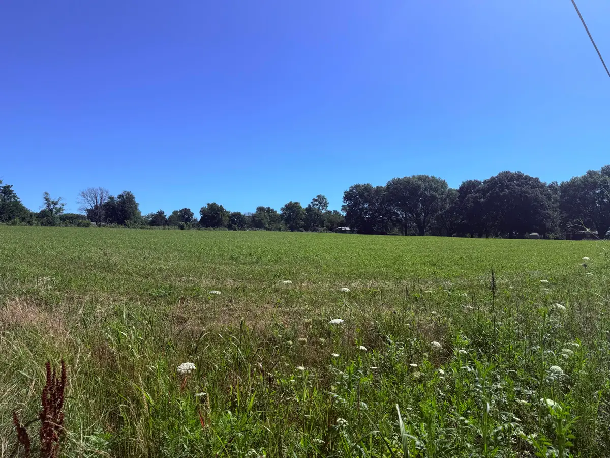 Tbd Missouri 245, Dadeville, MO 65635 - #1