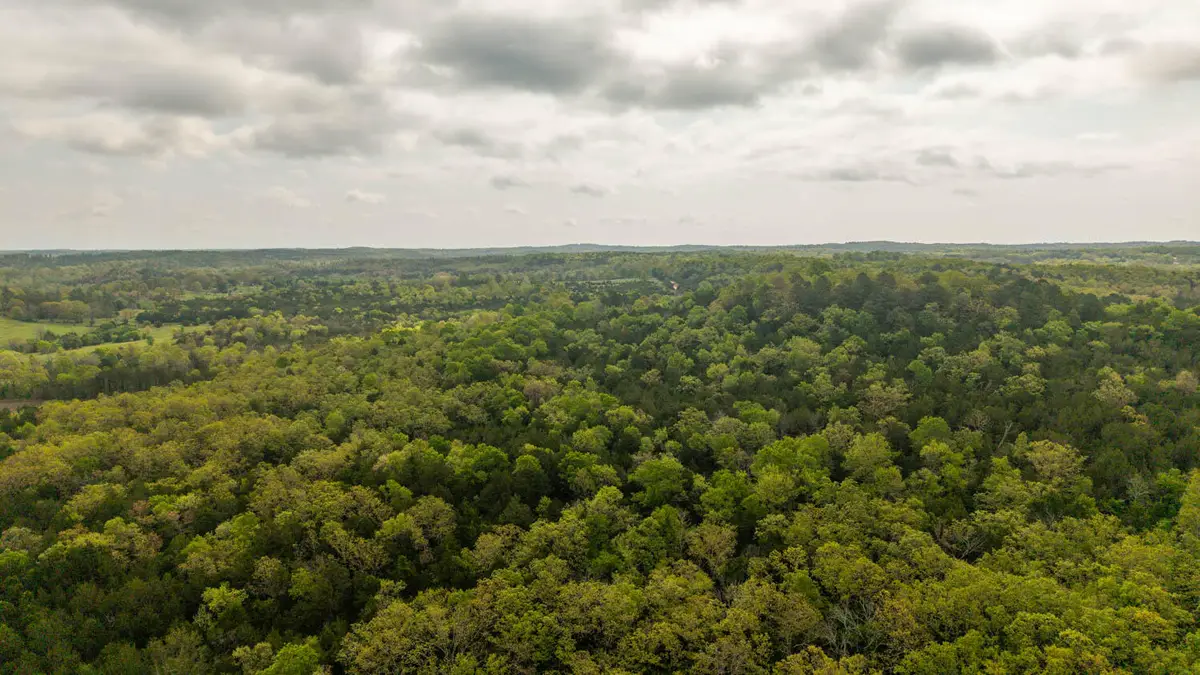 4 Little Woods Road, Elizabeth, AR 72531 - #1