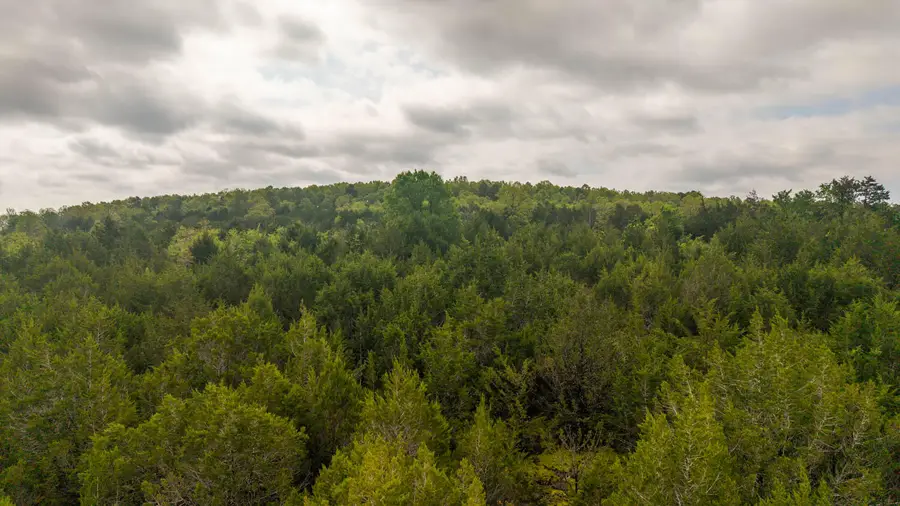 4 Little Woods Road, Elizabeth, AR 72531 - #2