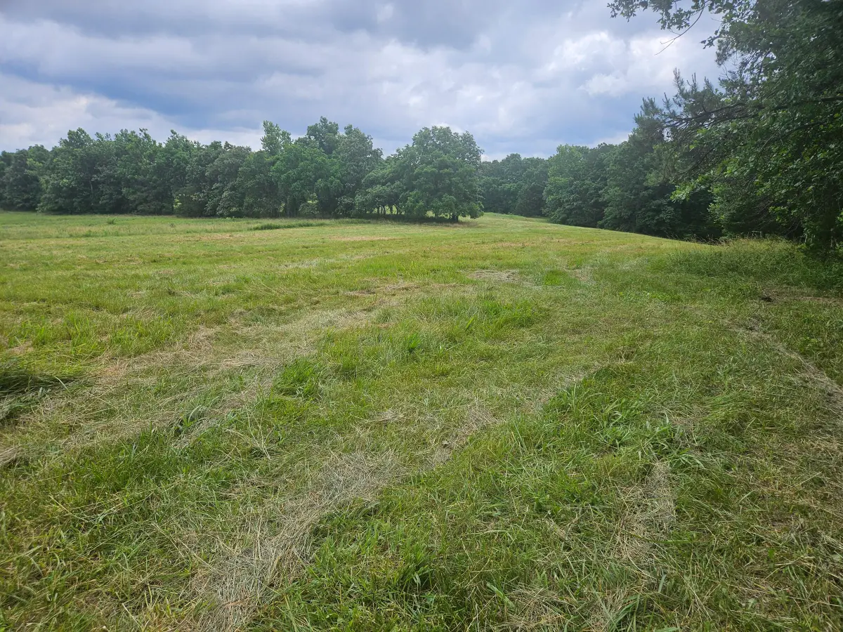 10504 County Road 471, Birch Tree, MO 65438 - #1
