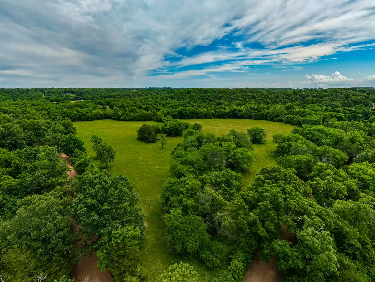 0000 Persimmon Road, Grovespring, MO 65662 - #1
