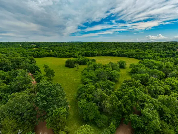 0000 Persimmon Road, Grovespring, MO 65662