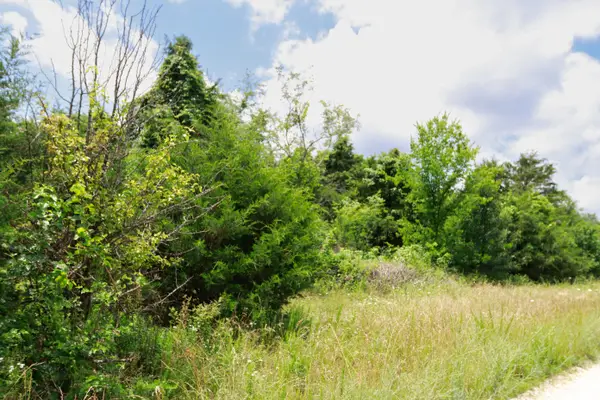 000 Private Rd 5346, Willow Springs, MO 65793
