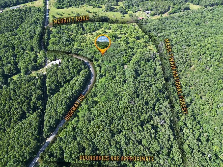 000 Highway Uu And Merritt Road, Chadwick, MO 65629 - #2