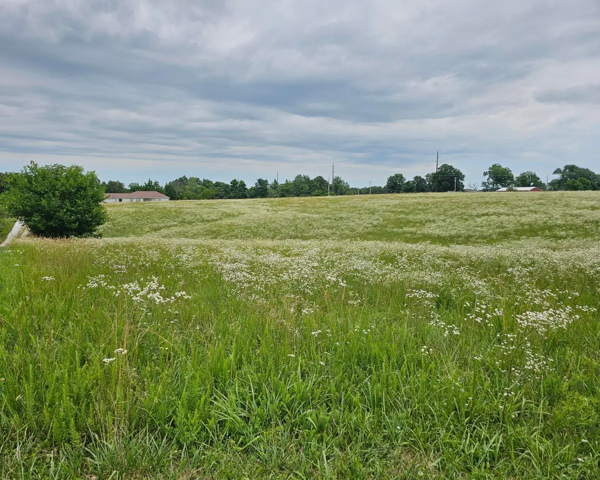 Lot 9 Lightning Bug Lane, Goodman, MO 64843 - #1