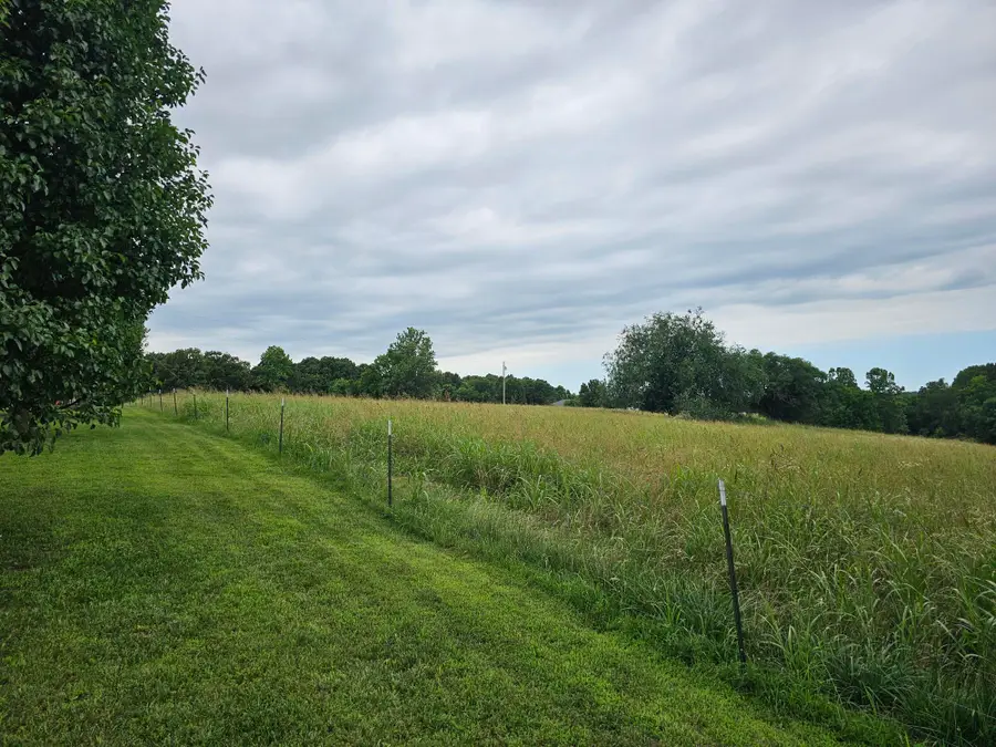 5 Acres Talon Lane, Goodman, MO 64843 - #3
