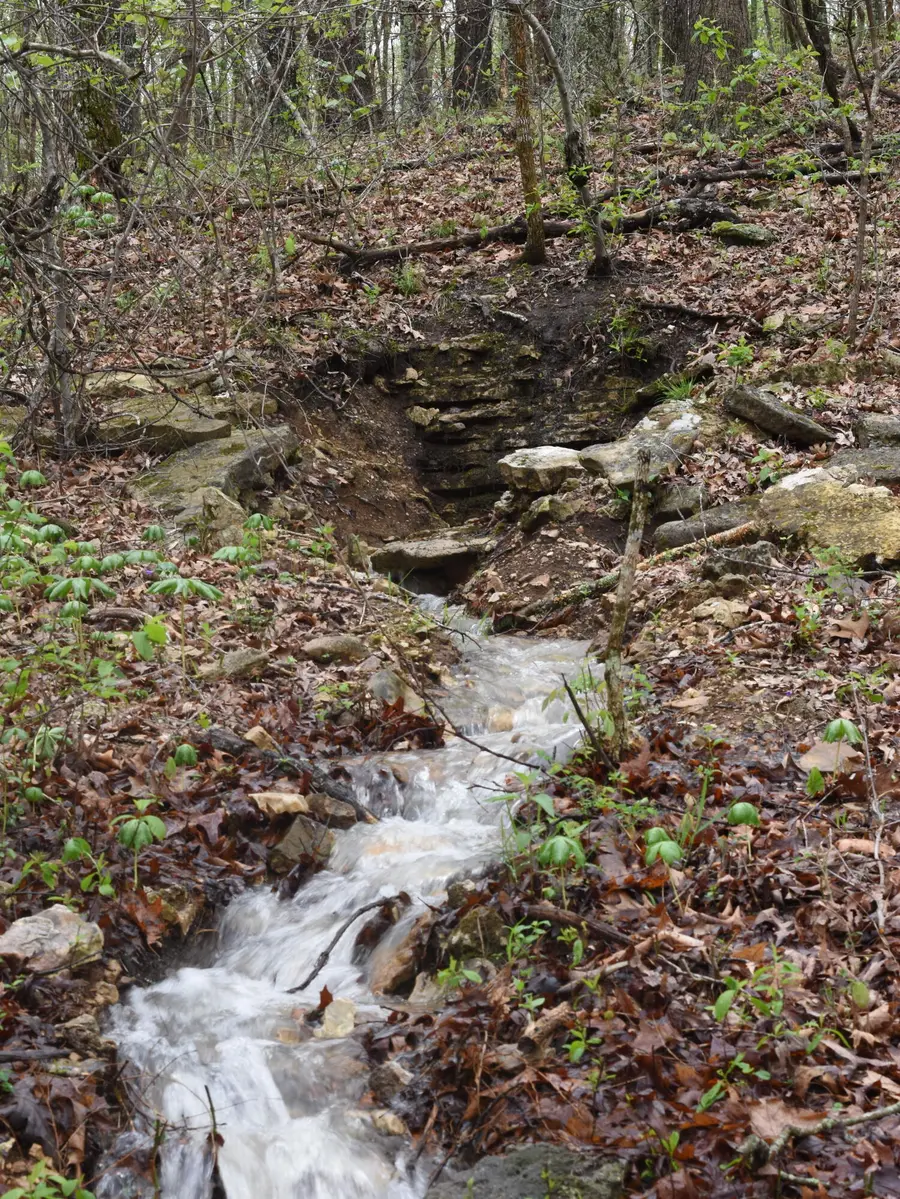000 Highway Y, Elk Creek, MO 65464 - #2
