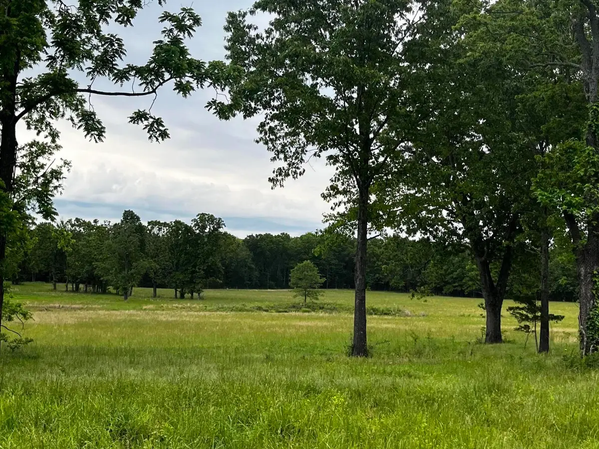 000 County Road 8470, West Plains, MO 65775 - #1