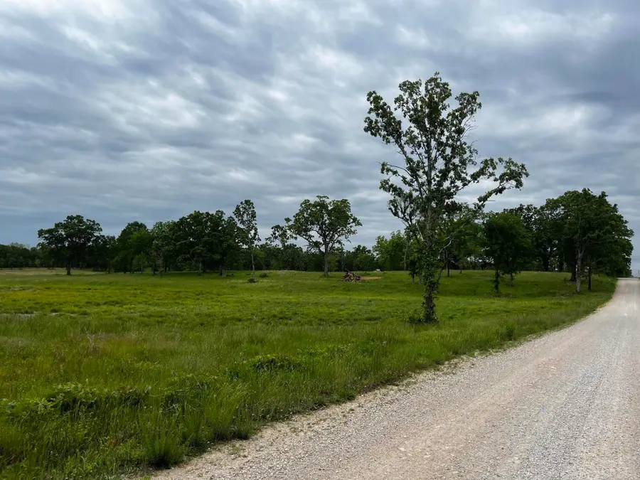 000 County Road 8470, West Plains, MO 65775 - #2