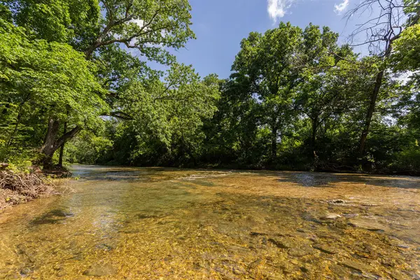 000 County Road Dd 447, Chadwick, MO 65629