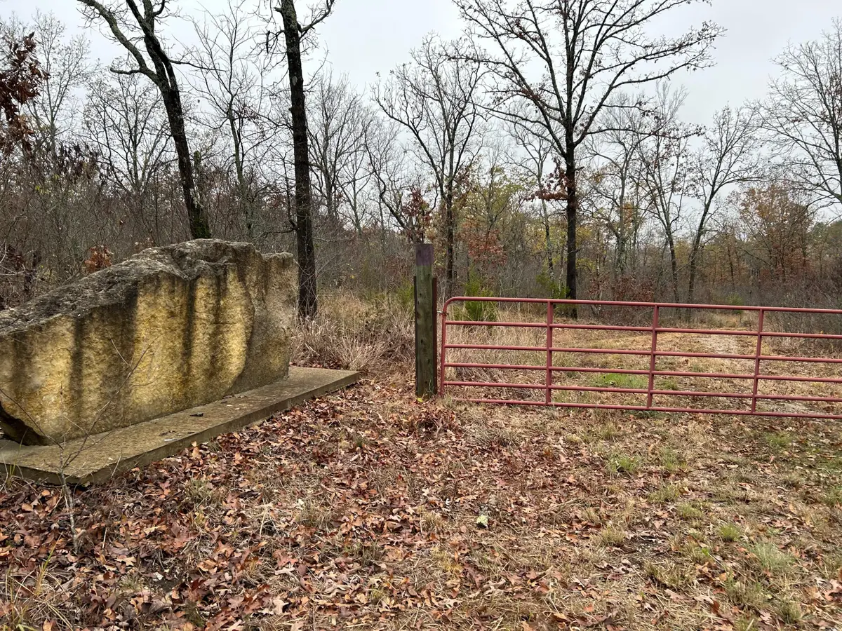 000 N State Highway 125, Bradleyville, MO 65614 - #1