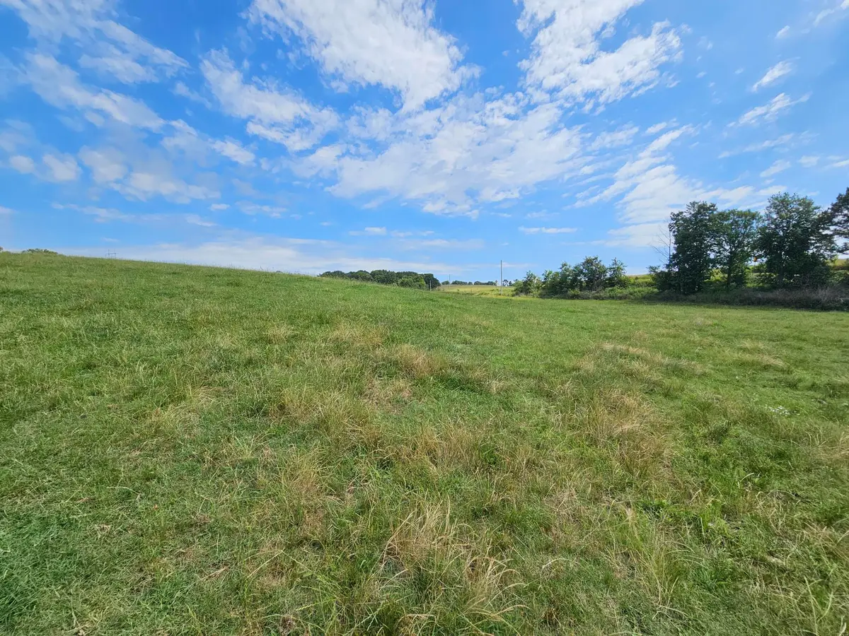 25 Acres State Highway F, Anderson, MO 64831 - #1
