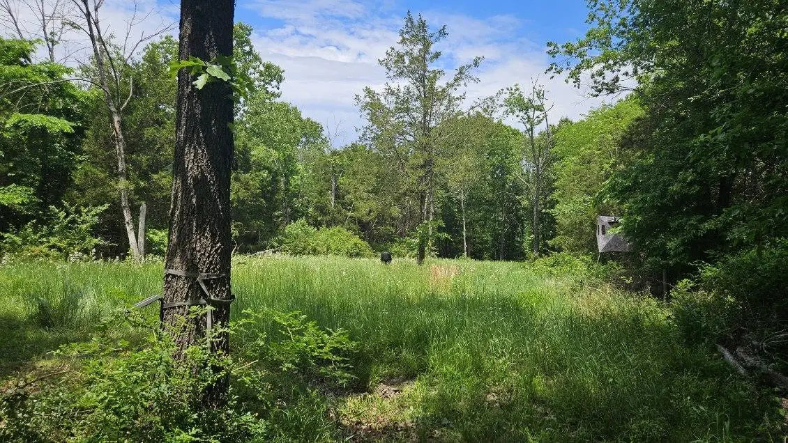Tbd- 000 S Bonnie Lee Lane, Rogersville, MO 65742 - #1