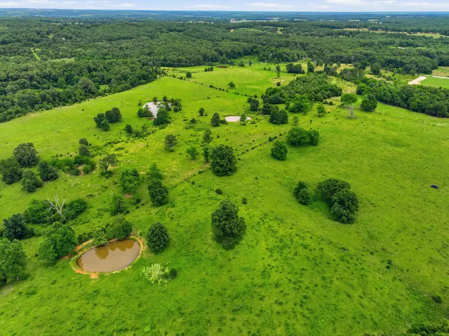 10776 State Route Pp, West Plains, MO 65775 - #2