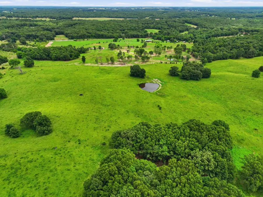 10776 State Route Pp, West Plains, MO 65775 - #3