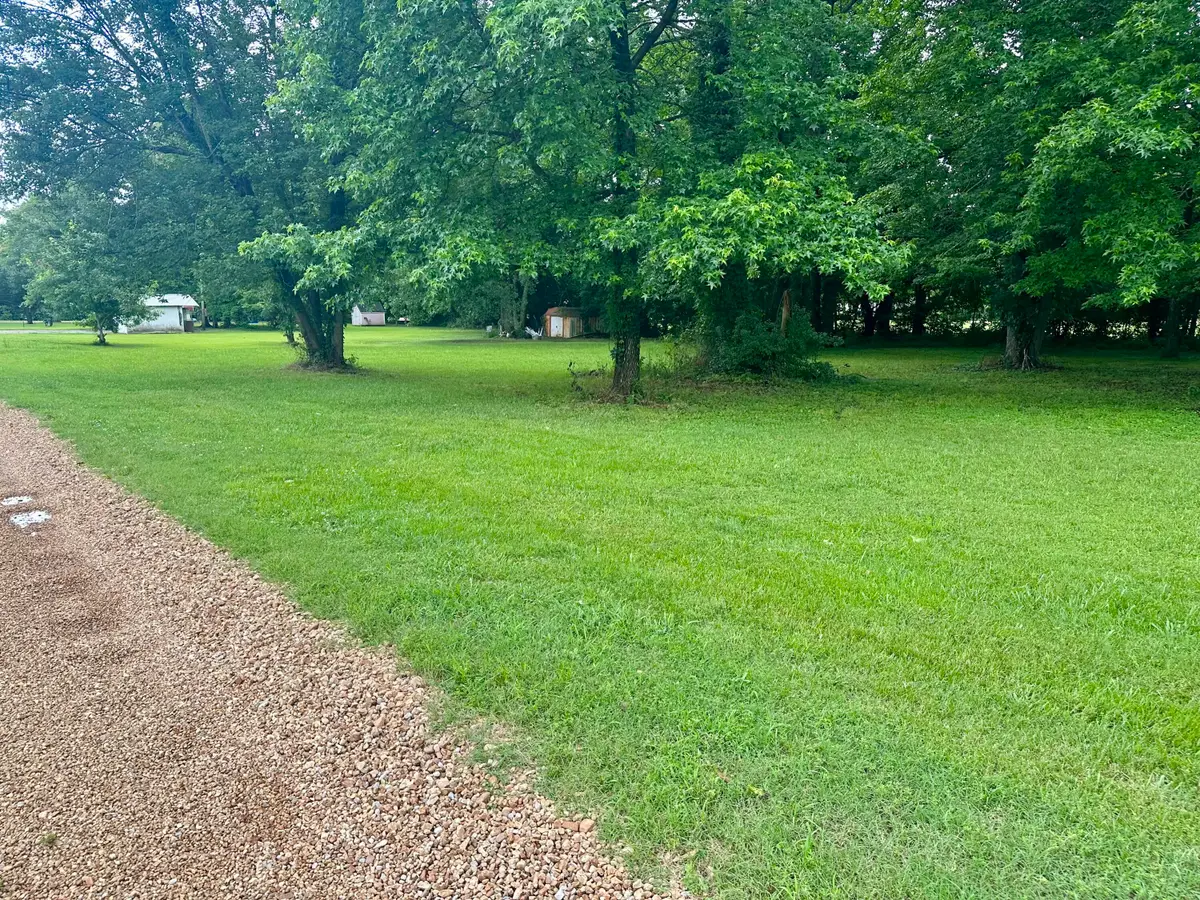 000 Lot 10 Vincent Street, Doniphan, MO 63935 - #1