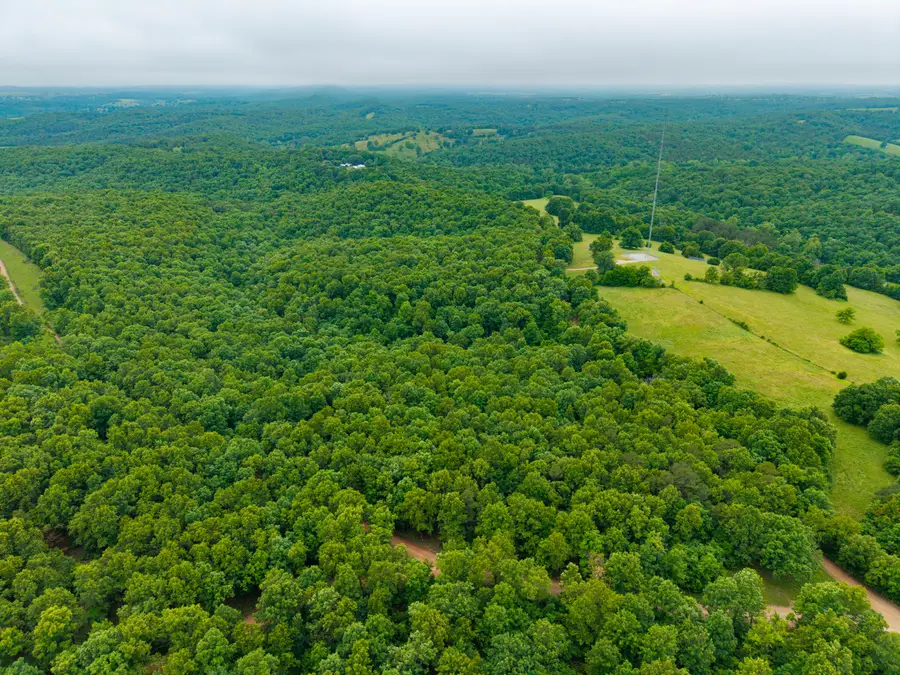 000 Co Rd 519 #Tract 3, Hardenville, MO 65666 - #2
